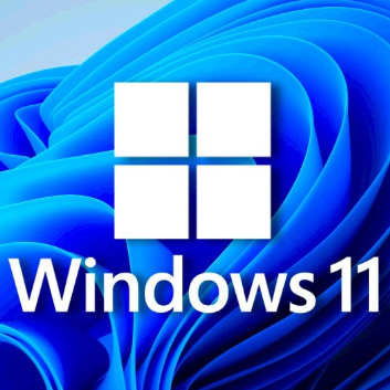 WIN11
